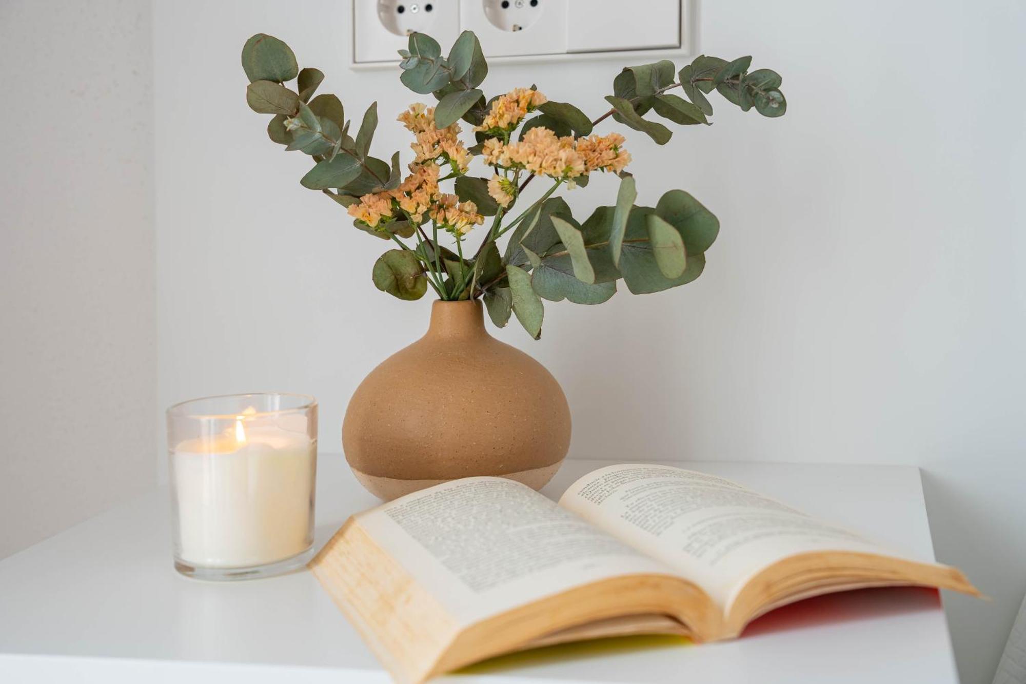 Sagitario Rymar * Cala en Bosch